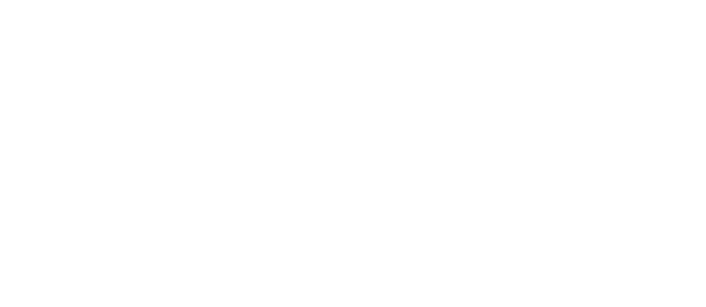 OCTO logo